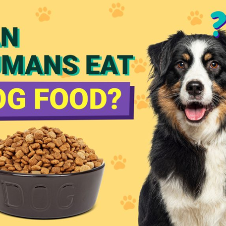 What Human Food Can Dogs Eat? The Complete List of Safe vs. Toxic Foods