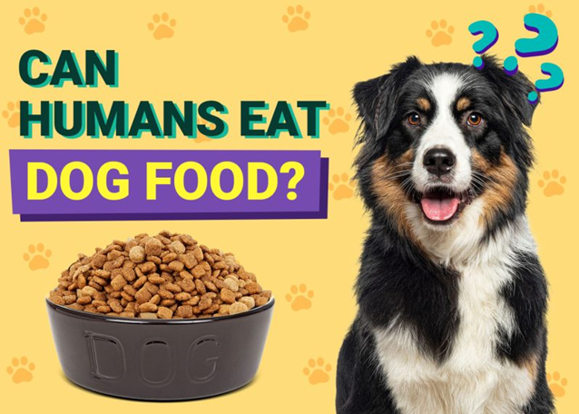 What Human Food Can Dogs Eat? The Complete List of Safe vs. Toxic Foods