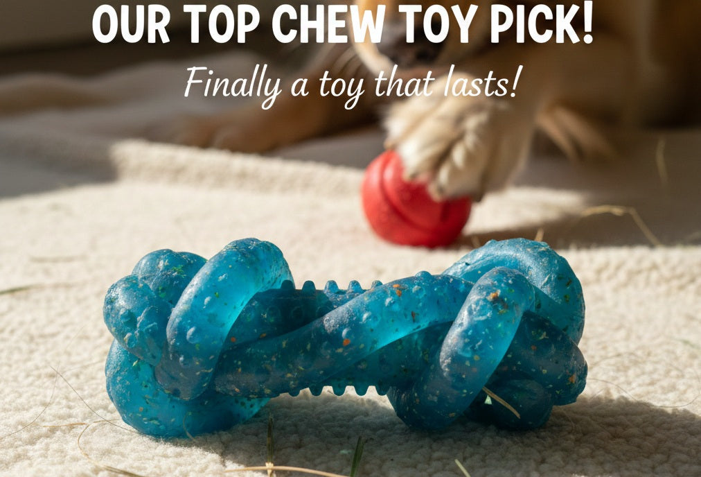 Why Every Dog Needs a Chew Toy: Benefits You Didn’t Know