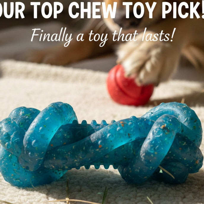 Why Every Dog Needs a Chew Toy: Benefits You Didn’t Know