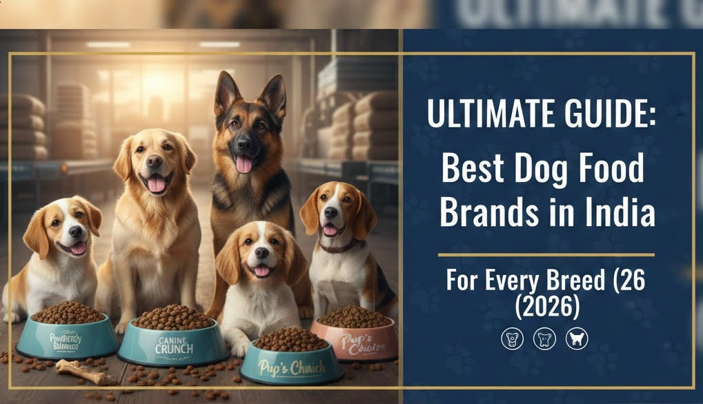 Ultimate Guide: Best Dog Food Brands in India for Every Breed (2026)