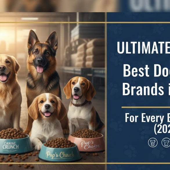 Ultimate Guide: Best Dog Food Brands in India for Every Breed (2026)