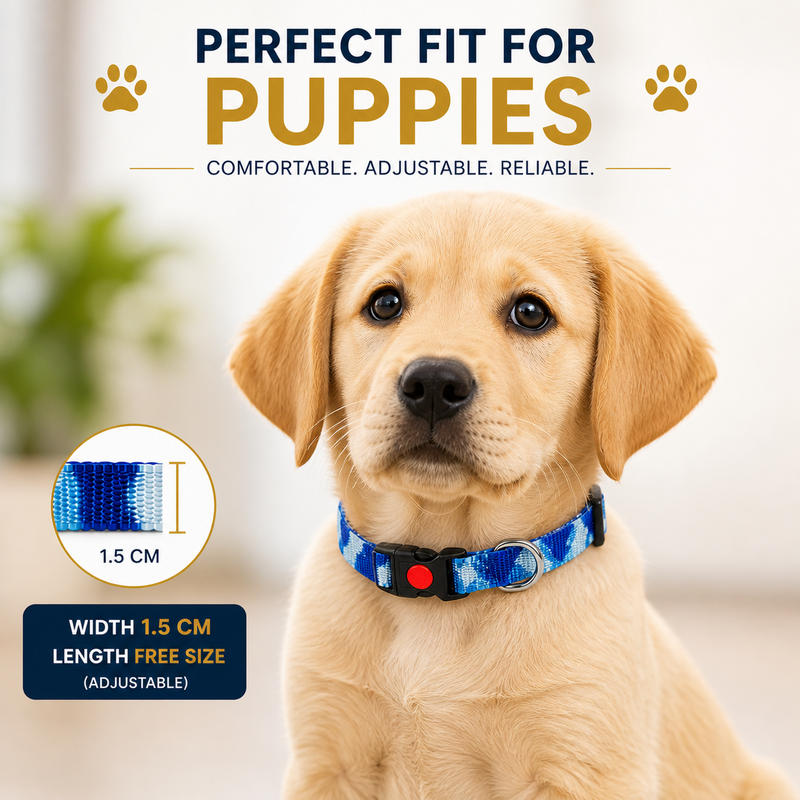 Furry Friend Adjustable Nylon Dog Collar for Puppies & Medium Dogs | Soft, Durable & Comfortable