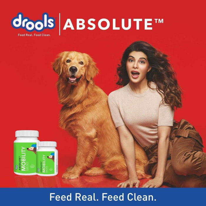 Drools Absolute Mobility Tablet for dogs