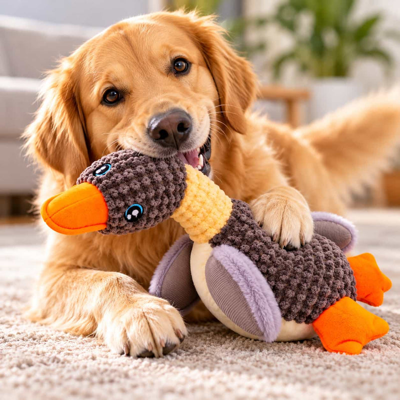 Furry Friend Plush Duck Dog Toy – Soft Stuffed Animal Toy, 12–13 Inch