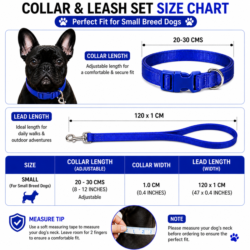 Puppy Collar & Leash Set – Adjustable Blue Nylon Collar | Lightweight, Secure & Comfortable