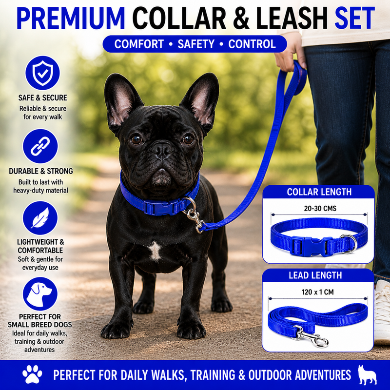 Puppy Collar & Leash Set – Adjustable Blue Nylon Collar | Lightweight, Secure & Comfortable