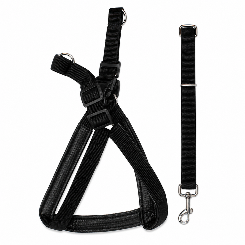 Black Dog Harness with Leash Set – Adjustable Nylon Harness | Comfortable, Secure & Easy Control