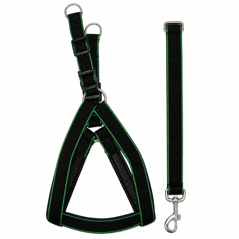 Heavy Duty Dog Harness with Leash – Adjustable Nylon Harness | Strong & Comfortable Control