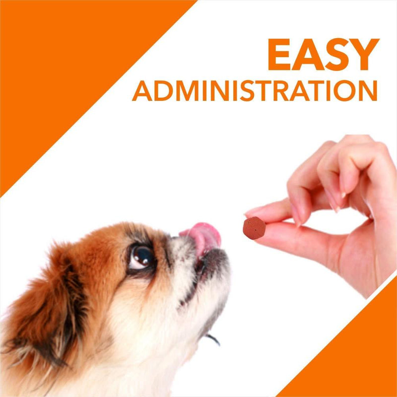 Drools Absolute Immunity Tablet- Dog Supplement