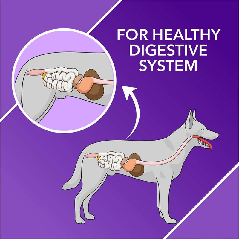 Drools Absolute Digestive Tablet for Dogs