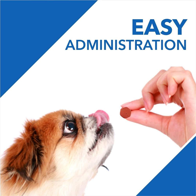 Drools Absolute Vitamin Tablet for Dogs