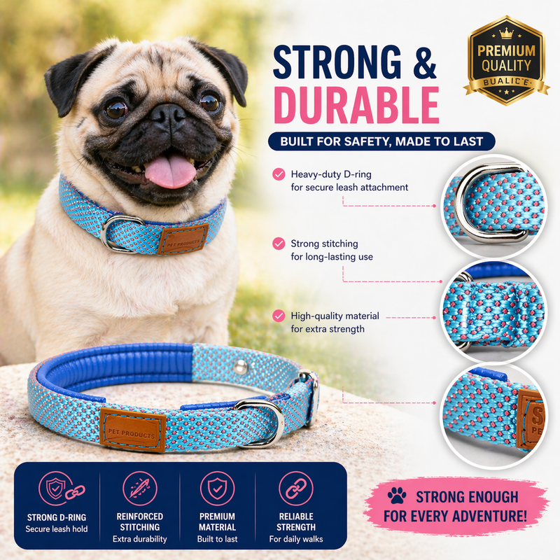 Soft Padded Dog Collar Belt for Small Dogs and Puppies – Comfortable, Strong & Adjustable