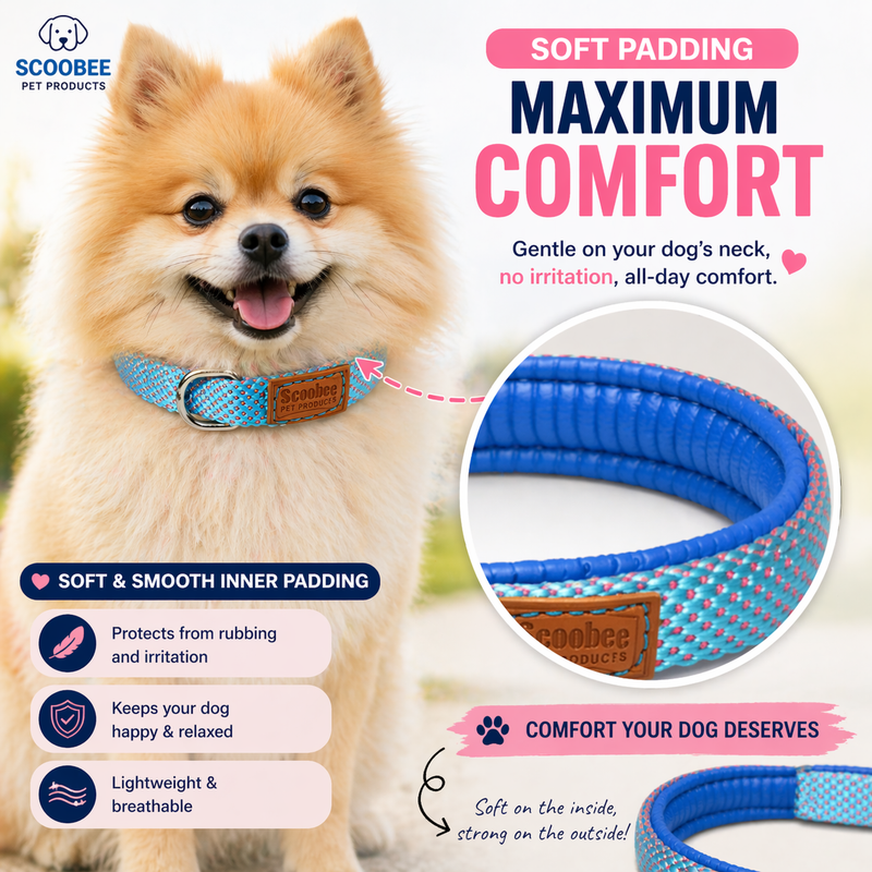 Soft Padded Dog Collar Belt for Small Dogs and Puppies – Comfortable, Strong & Adjustable