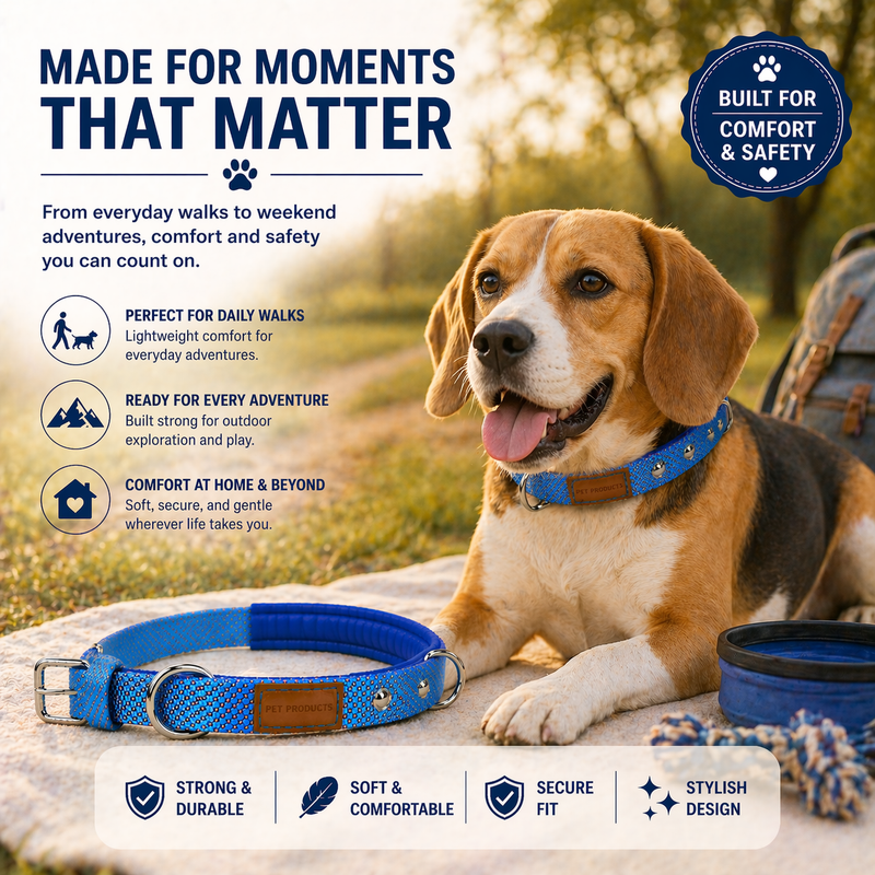 Soft Padded Dog Collar Belt for Small Dogs and Puppies – Comfortable, Strong & Adjustable