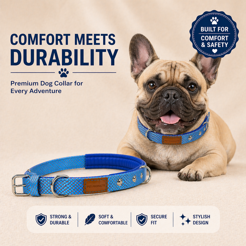 Soft Padded Dog Collar Belt for Small Dogs and Puppies – Comfortable, Strong & Adjustable