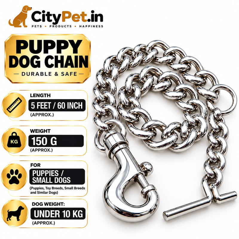 Furry Friend Chrome Steel Dog Chain Leash for Puppies & Small Dogs Under 10 kg, Length 5 Feet (60 Inch), Approx. Weight 170 g, with Metal Snap Hook & T-Bar Handle