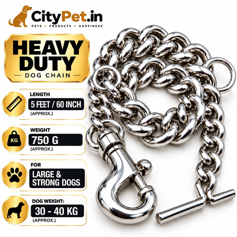 Furry Friend Heavy Duty Chrome Steel Dog Chain Leash for Strong & Large Dogs, Length 5 Feet (60 Inch), Approx. Weight 750 g, with Heavy Metal Snap Hook & T-Bar Handle