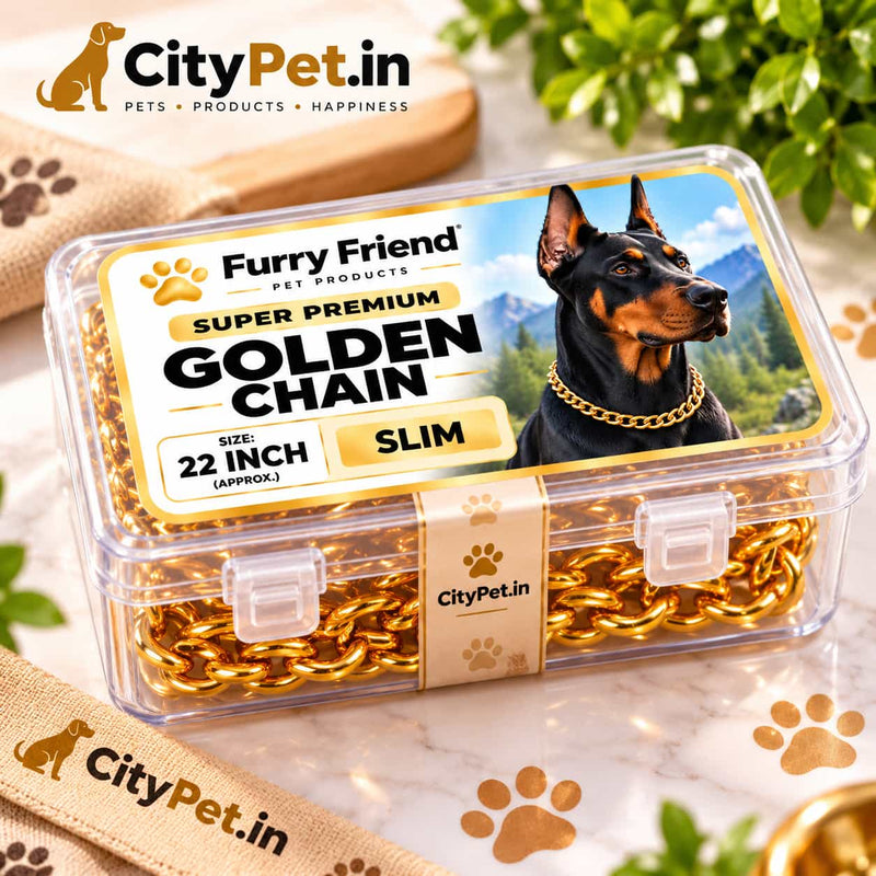 Super Premium Golden Luxury Choke Chain for Dogs & Puppies