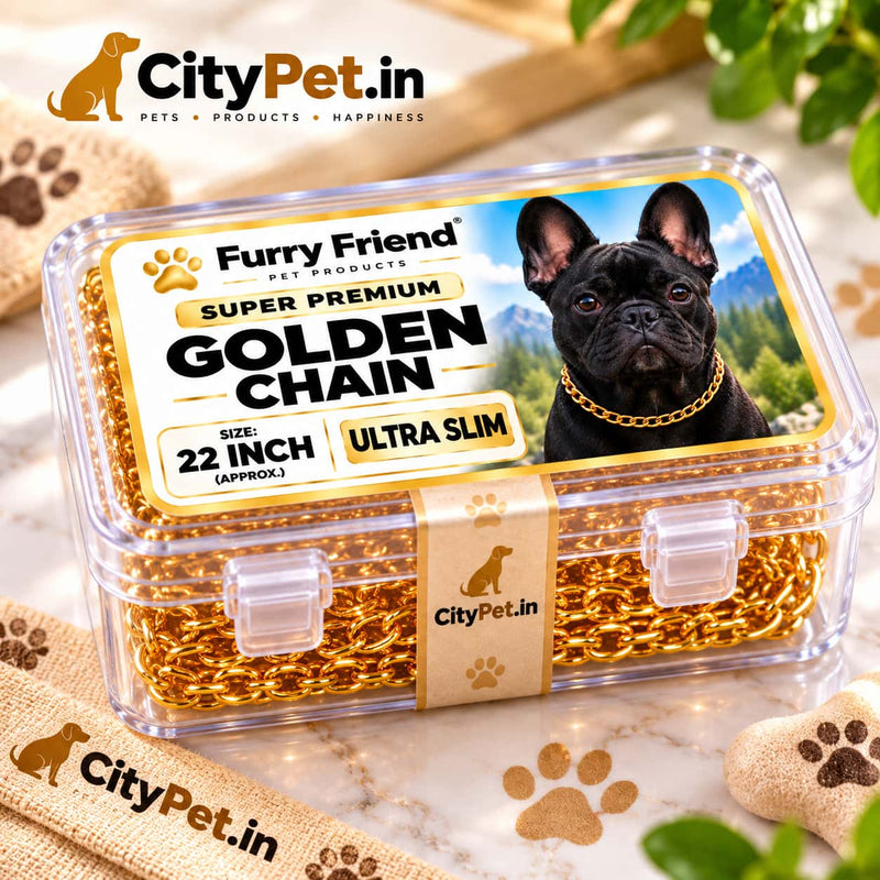 Super Premium Golden Luxury Choke Chain for Dogs & Puppies