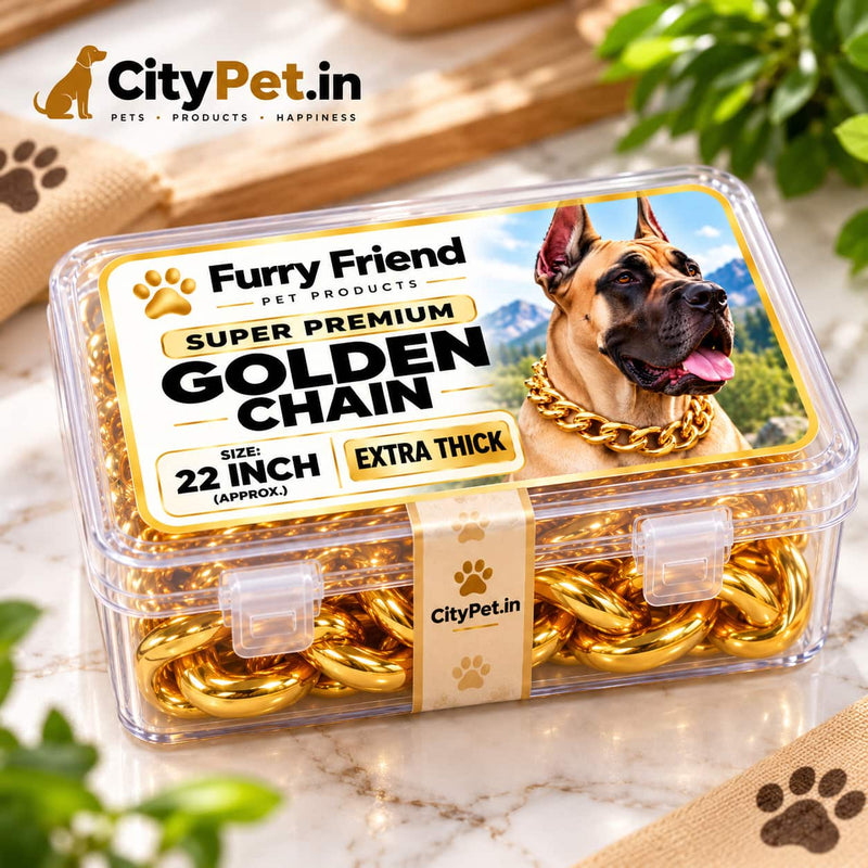 Super Premium Golden Luxury Choke Chain for Dogs & Puppies