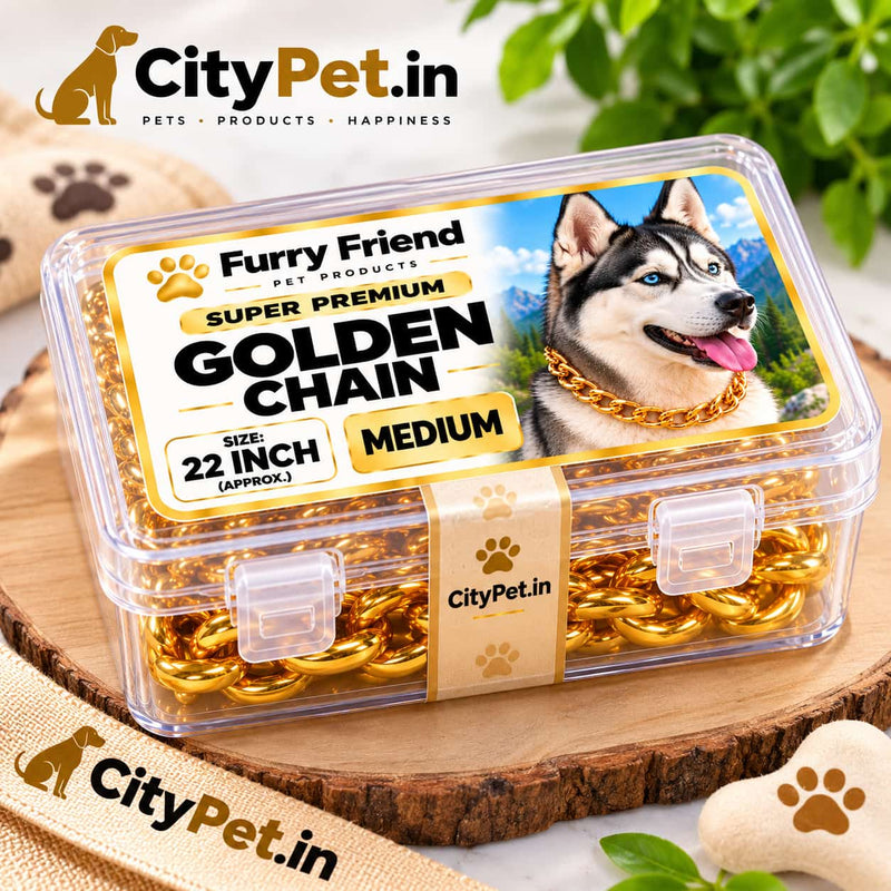 Super Premium Golden Luxury Choke Chain for Dogs & Puppies