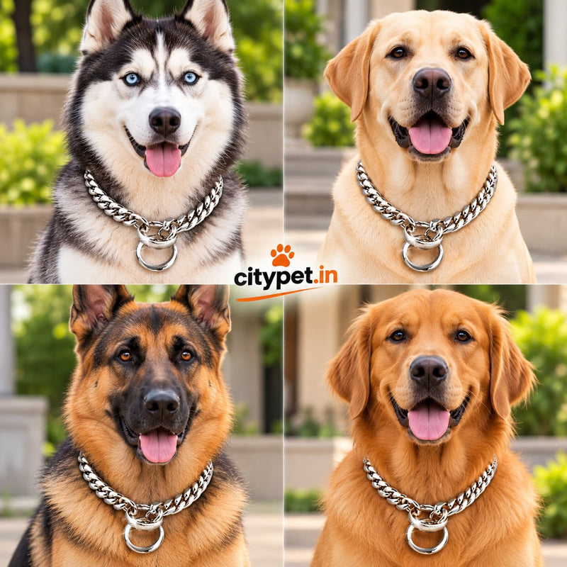 Super Premium Silver Luxury Choke Chain for Dogs & Puppies