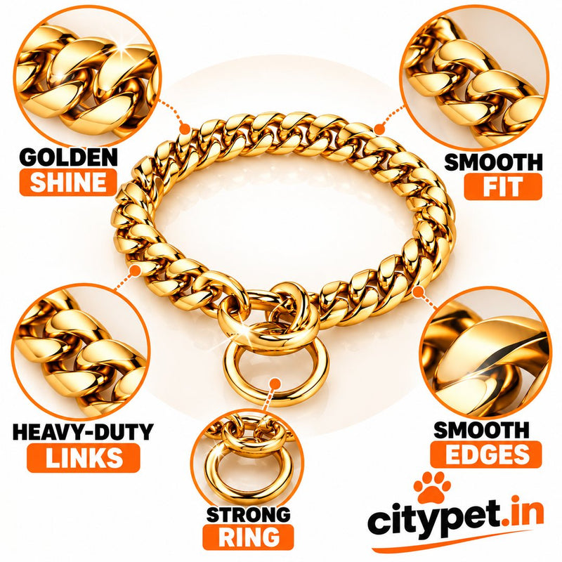 Super Premium Golden Luxury Choke Chain for Dogs & Puppies