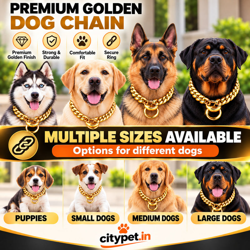 Super Premium Golden Luxury Choke Chain for Dogs & Puppies