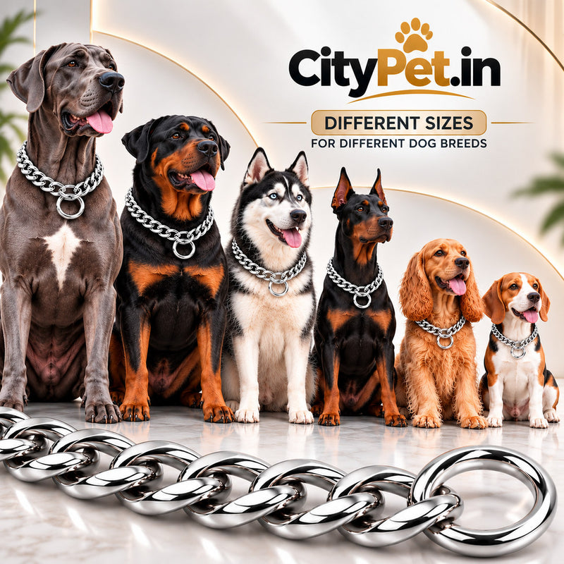 Super Premium Silver Luxury Choke Chain for Dogs & Puppies