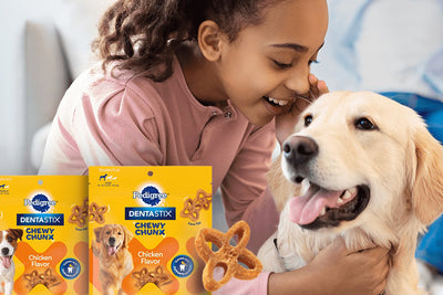Get 10% off on Dog Treats | Limited Period Offer
