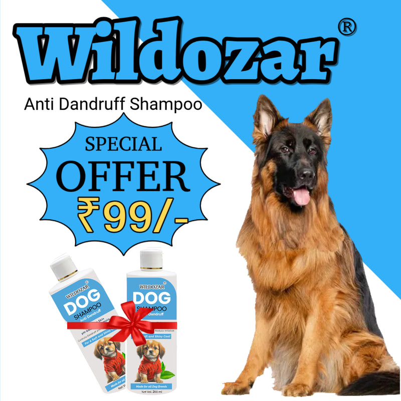 Wildozar Anti Dandruff Dry Skin Shampoo for Dogs and Puppies | Smooth, Soft and Shiny Coat