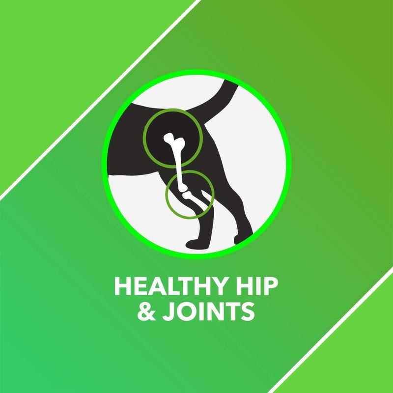 Drools Absolute Mobility Tablet for dogs