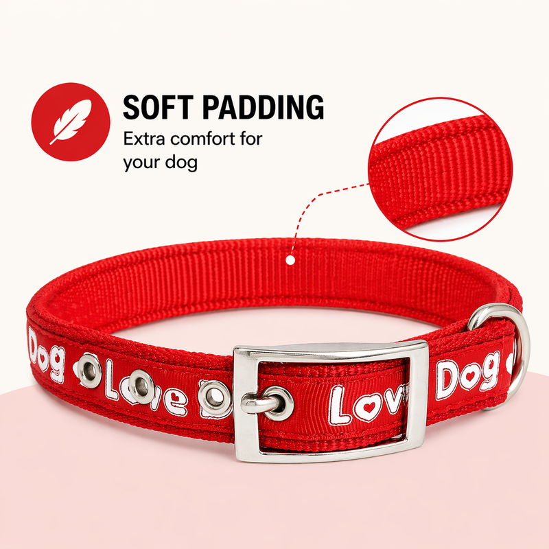Love Dog Soft Padded Dog Collar – Medium Size | Comfortable, Strong & Adjustable