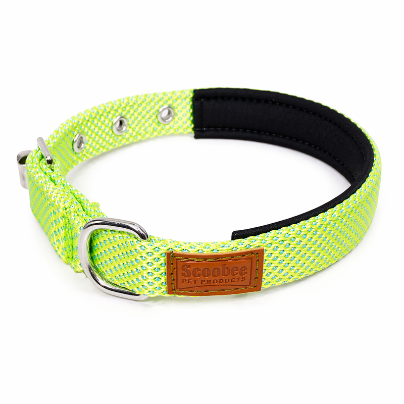 Premium Soft Padded Shiny Dog Collar for Small Dogs & Puppies | Adjustable, Comfortable & Durable