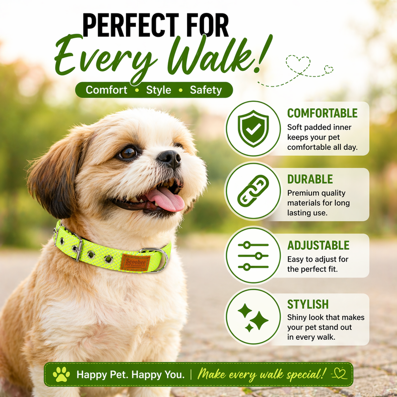 Premium Soft Padded Shiny Dog Collar for Small Dogs & Puppies | Adjustable, Comfortable & Durable
