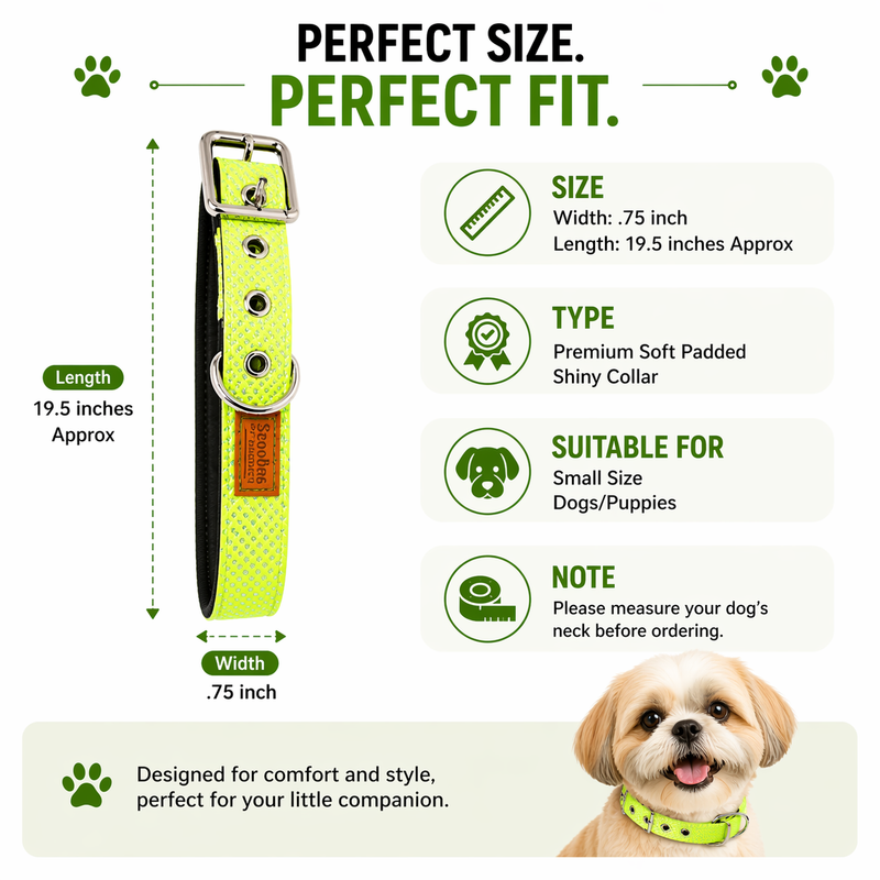 Premium Soft Padded Shiny Dog Collar for Small Dogs & Puppies | Adjustable, Comfortable & Durable