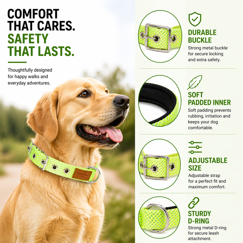 Premium Soft Padded Shiny Dog Collar for Small Dogs & Puppies | Adjustable, Comfortable & Durable