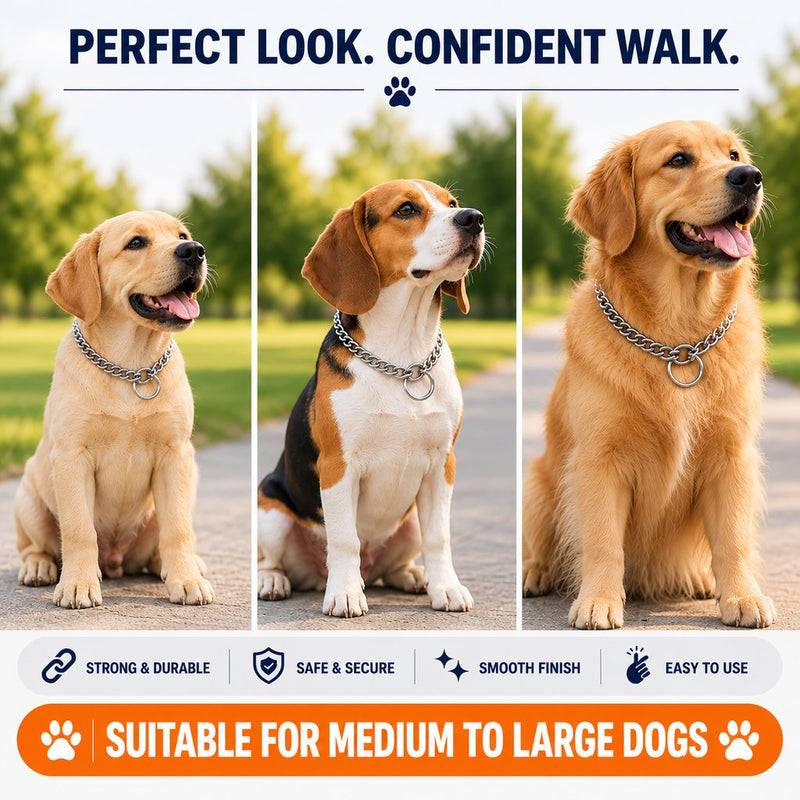 Furry Friend Chrome Plated Choke Chain for Dogs | Strong Steel | Smooth Finish