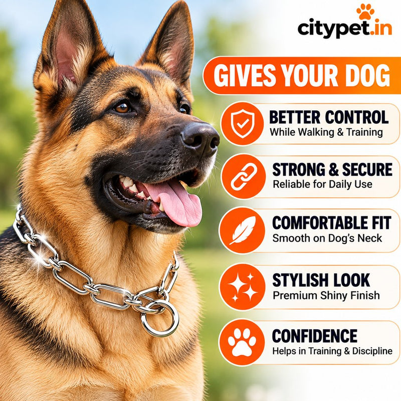 Furry Friend Chrome Plated Long Link Choke Chain 22 inch for Dogs | Training Slip Chain | Strong Steel