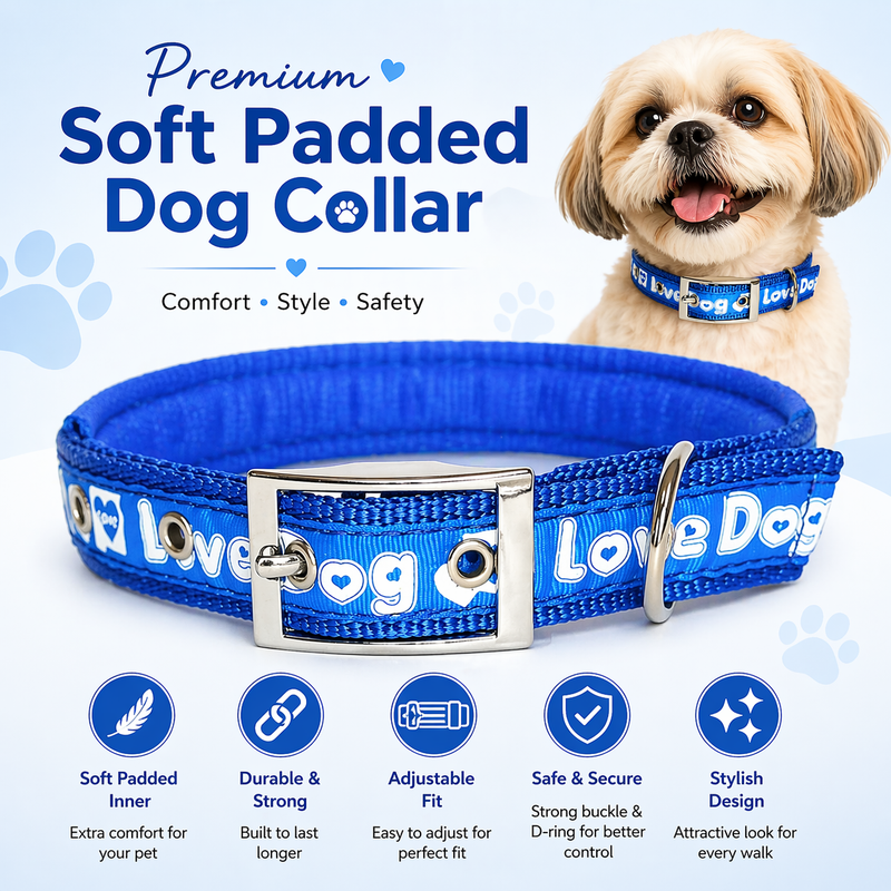 Love Dog Soft Padded Dog Collar – Medium Size | Strong, Comfortable & Adjustable