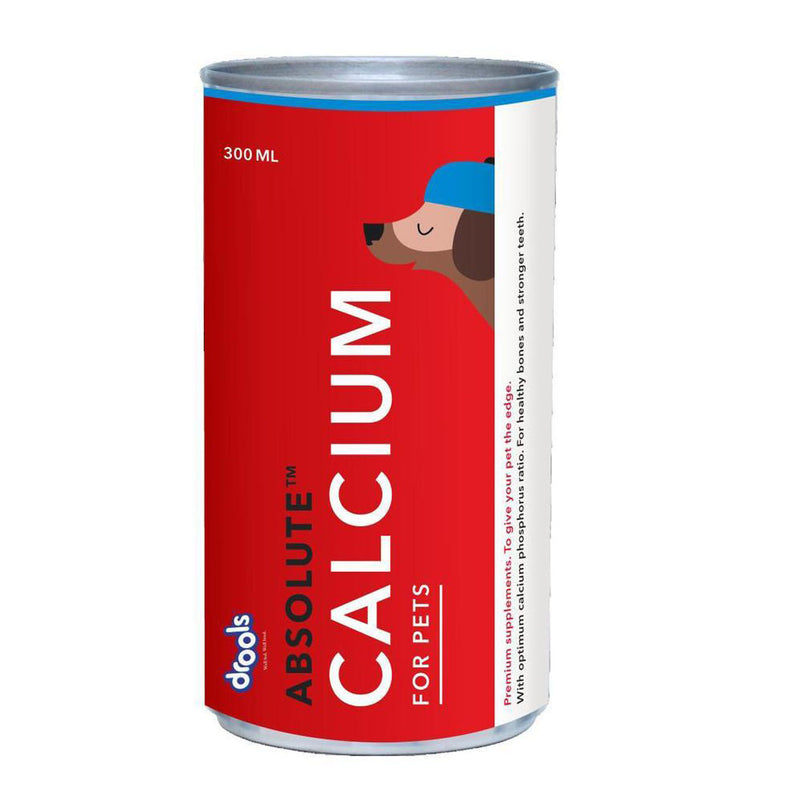 Drools Absolute Calcium Syrup 300 ml