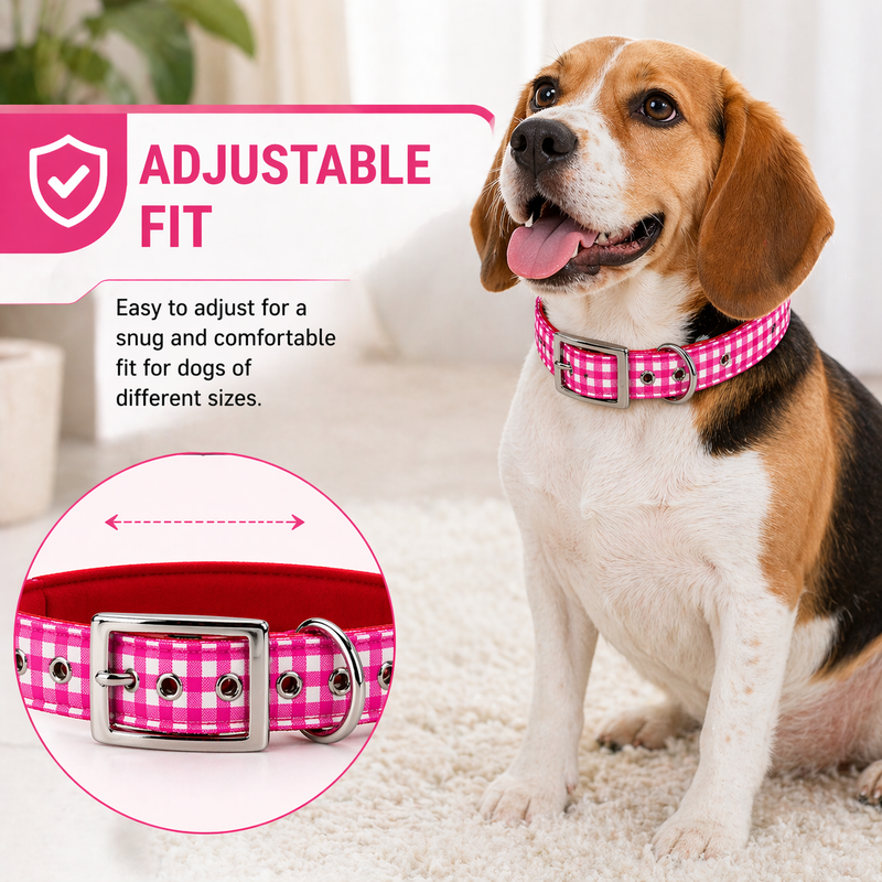 Furry Friend Premium Soft Padded Dog Collar for Medium Dogs | Adjustable, Comfortable & Stylish