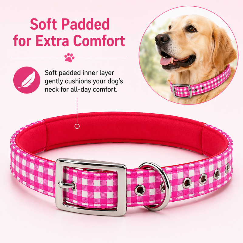 Furry Friend Premium Soft Padded Dog Collar for Medium Dogs | Adjustable, Comfortable & Stylish