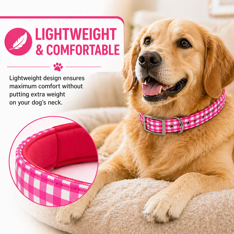 Furry Friend Premium Soft Padded Dog Collar for Medium Dogs | Adjustable, Comfortable & Stylish