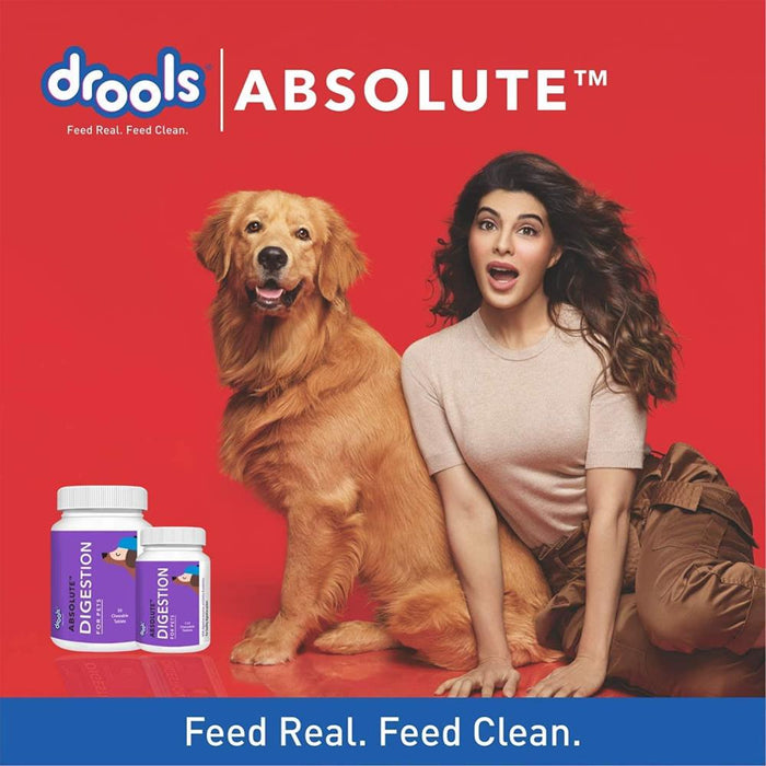 Drools Absolute Digestive Tablet for Dogs