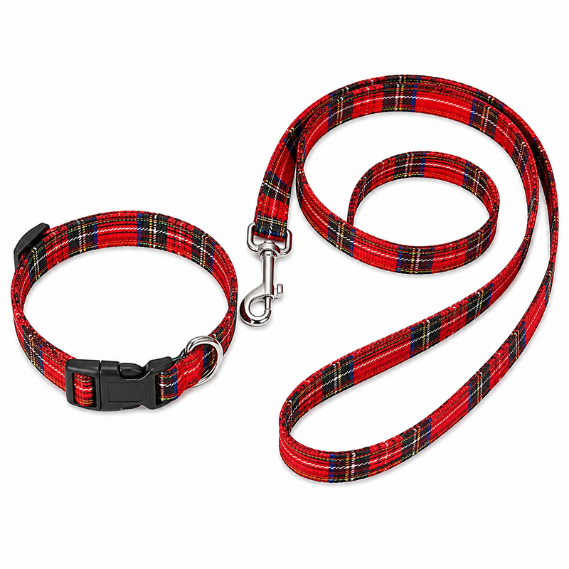 Furry Friend Printed Leash & Adjustable Collar Set for Puppies & Extra Small Dogs | Soft Nylon Walking Set (0.5 Inch Width)