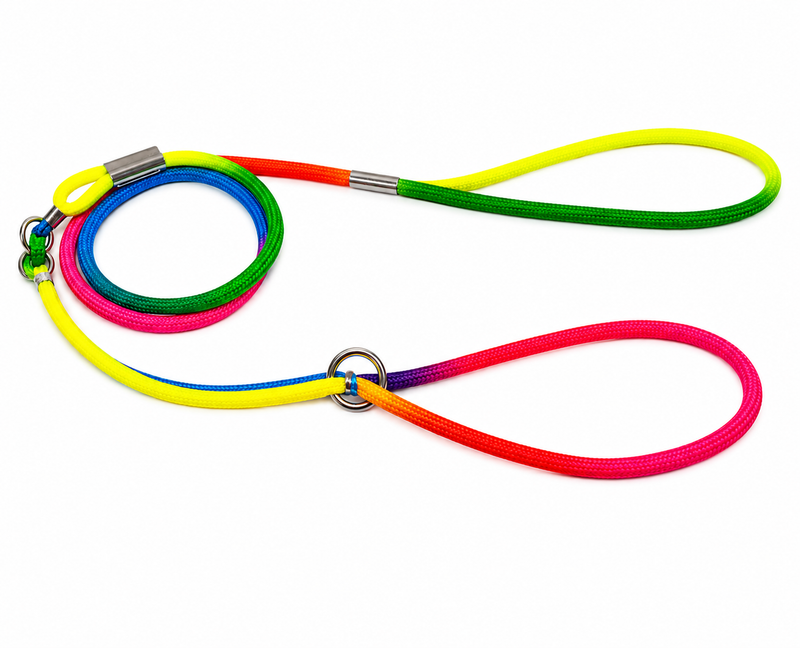 Furry Friend Adjustable Nylon Rainbow Rope Dog Leash