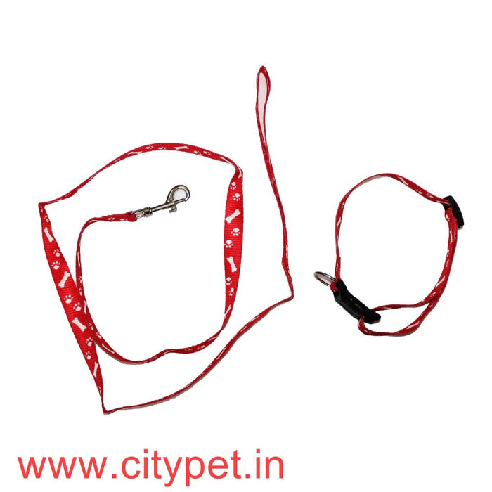 Printed Nylon Leash with adjustable Collar Set (width .5 inch) Small 5