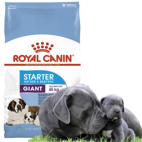 Royal Canin Giant Starter Dog Food 4 Kg